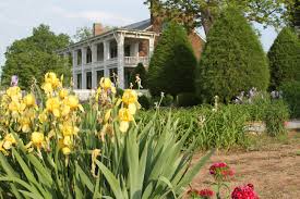 Franklin Tn Southern Cities Favorite Places Nashville Tennessee