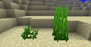 You may have heard that even those without a green thumb can grow cactus because they are impossible to kill. Does Bone Meal Grow Sugar Cane Cromalinsupport