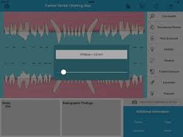 Pet Dental Charting For Veterinarians And Technicians