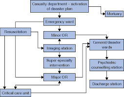 figure 2 from surgical response to the 2008 mumbai terror