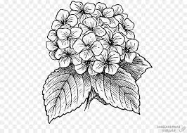 Las siguientes imágenes son todas ellas ejemplos de dibujos fáciles para hacer, pensados especialmente para las personas que tengan ganas de practicar y de tener un tiempo de dedicación para la técnica del dibujo. áˆ Dibujos De Flores Gratis Deliciosa Comida Para Pintar