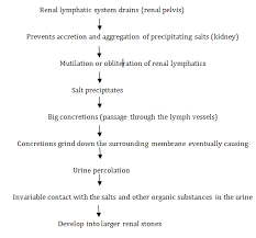 nephrolithiasis an updated review in relation to diagnosis