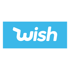Wish + (that) + past perfect: Wish Valuation Rises To More Than 11 Billion Following Series H Financing Led By General Atlantic General Atlantic