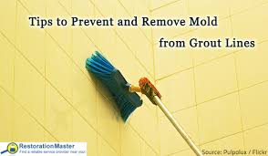 Check spelling or type a new query. Tips To Prevent And Remove Mold From Grout Lines
