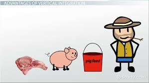 What Is Vertical Integration Definition Examples Benefits Video Lesson Transcript Study Com