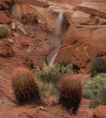 The mexican fence post is one of the most attractive and cleanest looking cacti available. Valley Of Fire In Nevada Earthriderdotcom