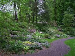 Calling All Green Thumbs And Anthophiles Somerset County Is Home To Five Internationally Recognized Garden Exp Native Plant Gardening Meditation Garden Garden
