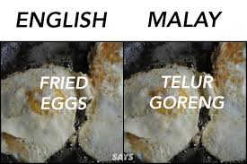 This language consists of a substrate of some natural language (for example english) using technical terms and grammatical conventions that are peculiar to mathematical discourse, supplemented by a highly specialized symbolic notation. What S Scrambled Eggs In Malay Here Are 15 Translations Every Egg Lover Must Know