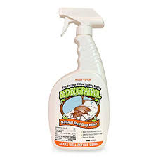 The marigold homemade bug spray recipe. Essential Oils For Bed Bugs A Complete Guide Pestseek