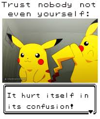 Contact it hurt itself in its confusion. 290 Funny Meme Ideas Funny Funny Memes Funny Pictures