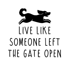 Evil. praise for live like someone left the gate open poetry. Live Like Someone Left The Gate Open Wine Glass 19 Oz