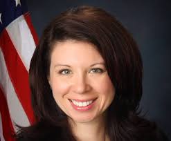 Here's who is running for state District 26, county, judge positions