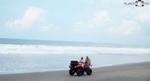 Resultado de imagen de platillos tipicos de pijijiapan