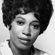 Doctors' Wives (1971)