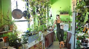 English ivy is one tough plant: Growing A Jungle In My New York Apartment Youtube