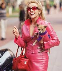 Hi I M Elle Woods And This Is Bruiser Woods We Re Both Gemini Vegetarians While You Wait For Legally Blonde Legally Blonde Ladies Movie Night Elle Woods