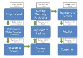 current sanitation practices for leafy green vegetables for