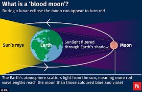 Blood cancers affect the production and function of your blood cells. What The Blood Moon Means For Your Star Sign Daily Mail Online