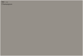 Champignon Dulux Main Render Colour Paint Colors Exterior Paint Waverly