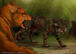 Tigerclaw S Fury Ch I By Spirit Of Alaska On Deviantart Warrior Cats Books Warrior Cats Warrior Cat