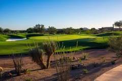 Image result for what are the ducks at stadium course in scottsdale, az