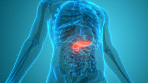 Pancreatic cancer pancreatic cancer begins in the tissues of your pancreas — an organ in your abdomen that lies behind the lower part of your stomach. Cheap Pills Could Save Pancreatic Cancer Patients From Starving News The Times