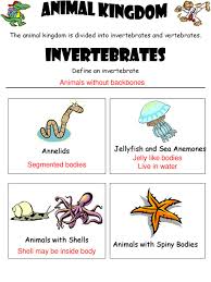 64%(14)64% found this document useful (14 votes). Animal Kingdom Invertebrates Animals Without Backbones Ppt Download