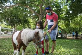 The all american petting zoo and pony ride is a family owned and operated business. Casa De Campo Inaugurates A New Petting Zoo At The Equestrian Center Casa De Campo Living