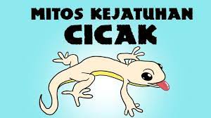 We did not find results for: Kartun Lucu Benarkah Apabila Kejatuhan Cicak Kita Akan Sial Esok Harinya Kartun Mitos Youtube