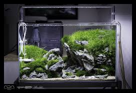 Green Aqua Showroom Aquarium Design Aquarium Aquascape Aquarium
