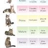 Studying mammals the insect hunters view as single page. Https Encrypted Tbn0 Gstatic Com Images Q Tbn And9gcqpxfutm6 Yuuko0f Fgmvsrqngutjy22apavriy0ter8xmqdxu Usqp Cau