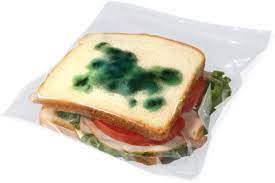 These Anti Theft Moldy Lunch Bags Will Keep Your Sandwich Safe From Lunchtime Thieves