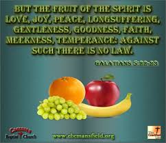 Pin On New Testament Verses