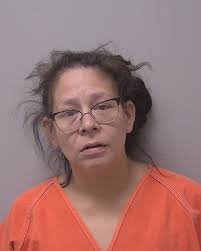 CRIME: Marathon County felony gallery for June 5, 2025