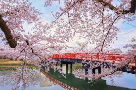Technique pour dessiner un paysage aux crayons aquarelle | apprendre à dessiner avec dessin création. Jardin Solaire Architecte Paysagiste Creer Un Jardin Japonais