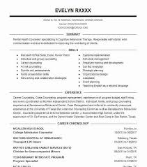 college admission counselor resume
