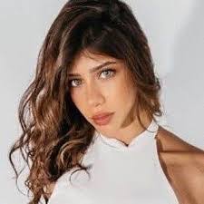 Diana Hamdan's Instagram, Twitter & Facebook