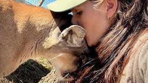 Madison College graduate, Army Colonel gives nearly $6 million to JMU for  scholarships