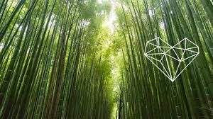 Download 8,871 bamboo forest stock illustrations, vectors & clipart for free or amazingly low rates! Elif Sanoi Bamboo Forest Original Mix Organic House A Tribe Called Kotori Youtube