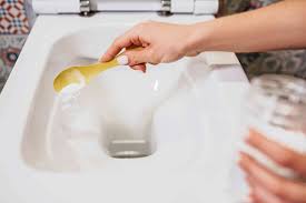 You can make your own cleaning supplies and clean with no problem. Diy Toilet Bowl Cleaner