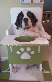 Bailey Chair For Dogs With Canine Megaesophagus Www Baileychairs4dogs Com Bailey Chair For Dogs Bailey Chairs Dogs Diy Projects