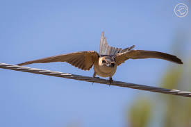 Maybe you would like to learn more about one of these? Visit Natura Visitnatura Twitter