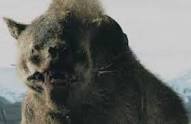 Image of Warg LOTR