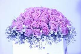 , wallpaper flower bouquet roses colorful flower vase pink hd 2602×2000. Hd Wallpaper Pink Rose Flowers And Baby S Breath Flowers Bouquet In White Vase Wallpaper Flare