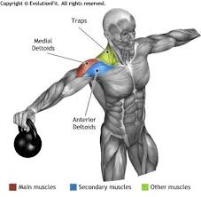 Shoulders Standing 2 Kettlebell Lateral Raise Kettlebell Kettlebell Workout Shoulder Workout