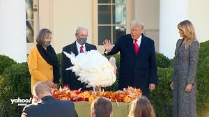 Bruce carroll joins us on pardoned by grace. Trump Pardons Turkey At White House Ceremony