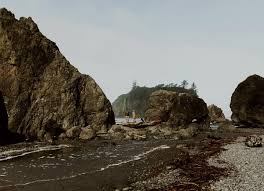 Profile for Sage & Sea Co.