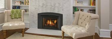 Whether you're planning to put a fireplace in your family room, bedroom, kitchen or even your master bath, you can browse our fireplace photo gallery to spark your fireplace design inspiration. Lri4e Medium Gas Fireplace Insert Regency