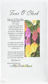We did not find results for: Amazon Com Big Pack 4 O Clock Mix 500 Seeds Fragrant Mirabilis Jalapa Flower Seeds Marvel Of Peru Butterfly Honey Bee Attractant Non Gmo Flower Seeds By Myseeds Co Big