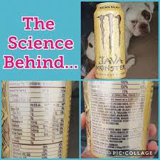 Nutrition facts ] the nutrition facts label (also known as the nutrition information panel, and various other slight variations) is a label required on most take in liquids; Science Behind Monster Energy S Wannabe Coffee Crossovers Like This Are An Attempt To Convert Coffee Drinkers To Energy Drink Side So How Does This Compare To